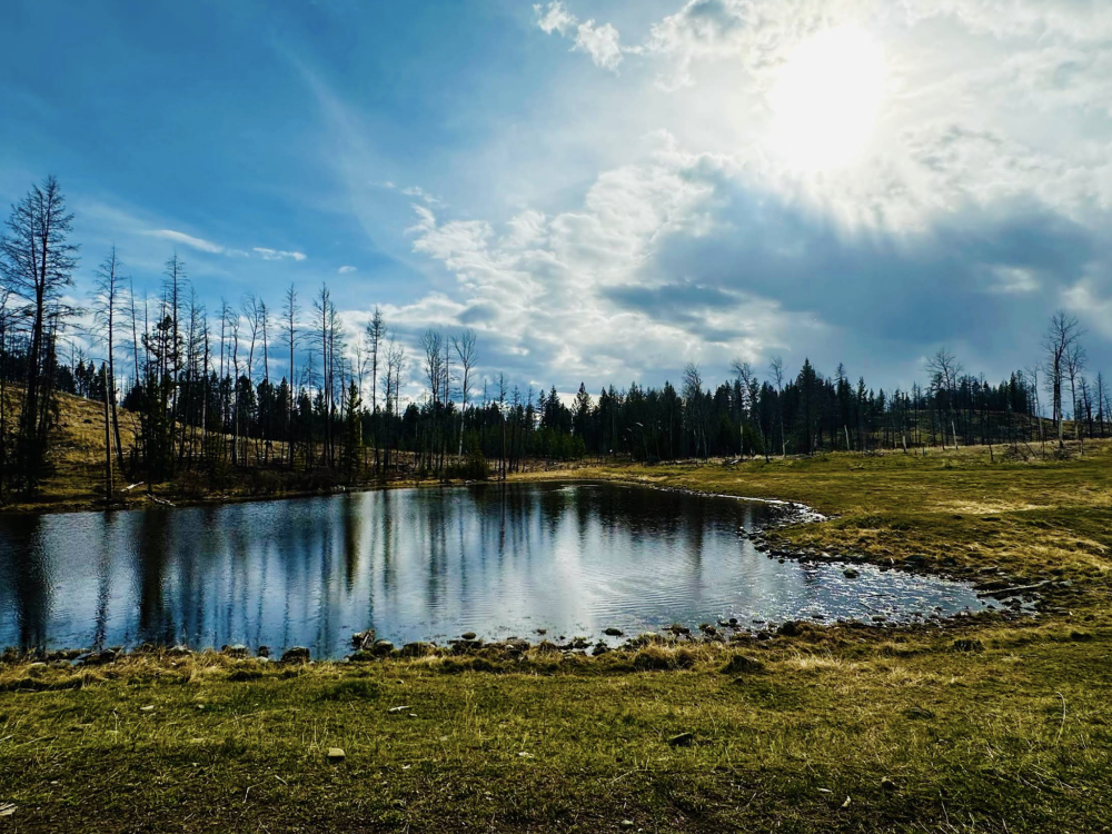 Logan Lake Recreational Trails