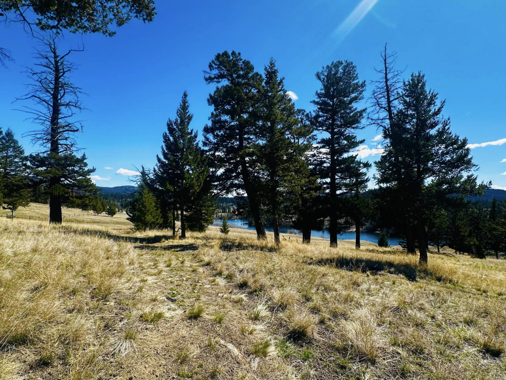 Logan Lake Recreational Trails