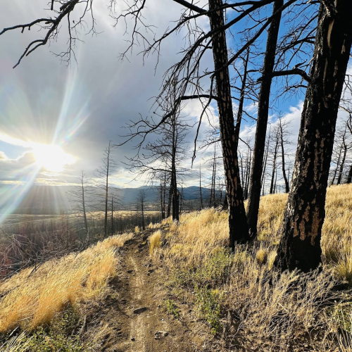 Logan Lake Recreational Trails