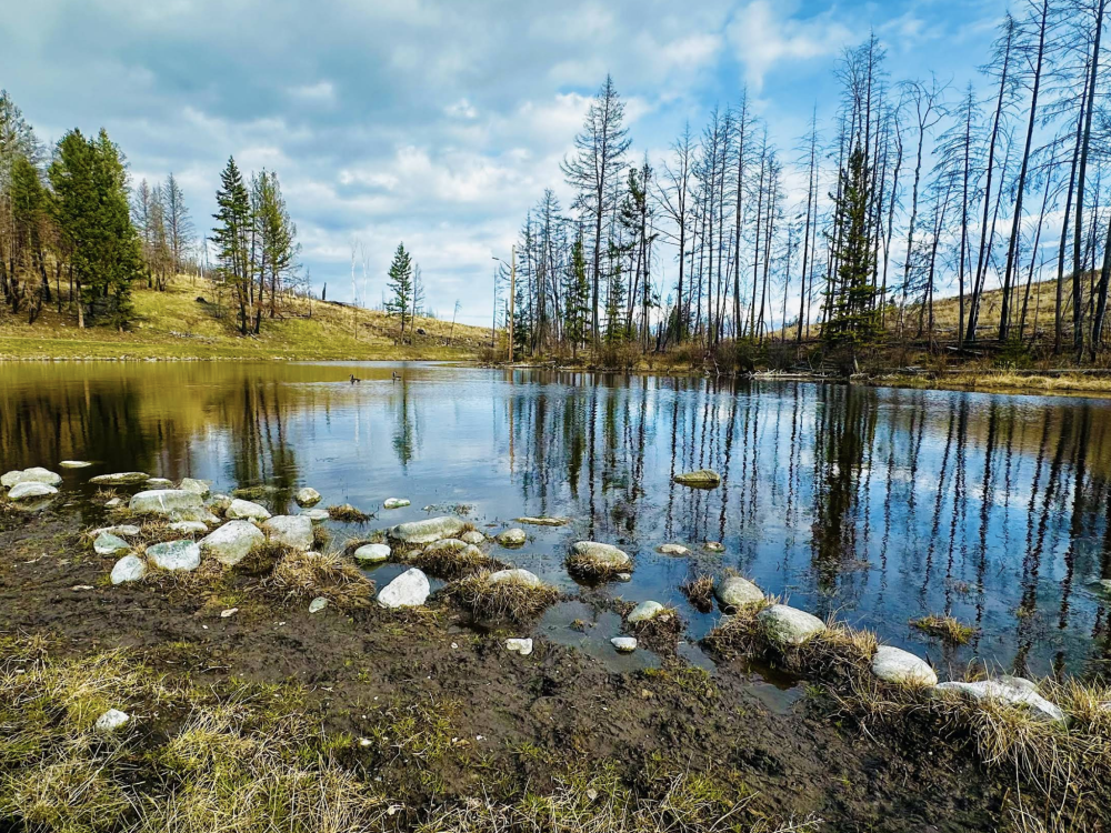 Logan Lake Recreational Trails